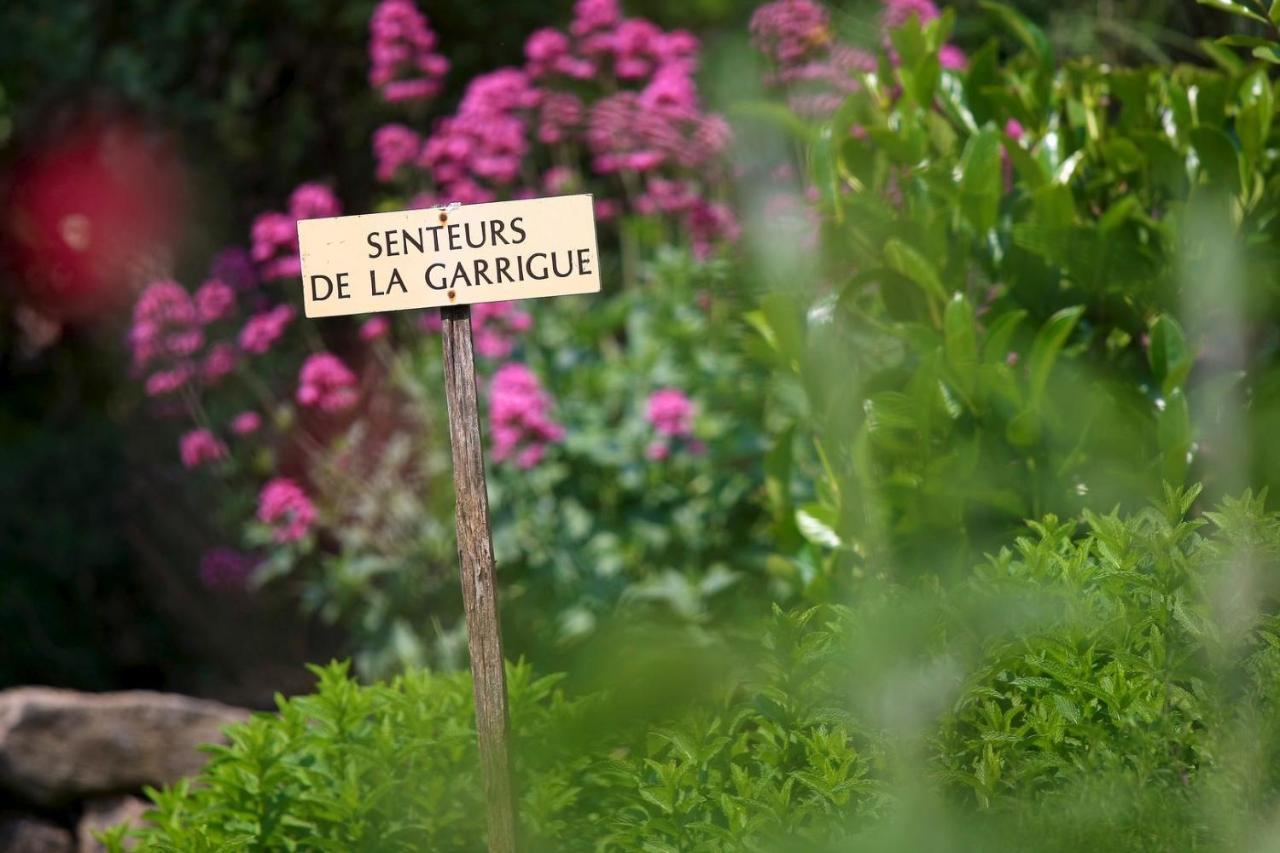 Maison De Village La Clemaline Figanières Kültér fotó