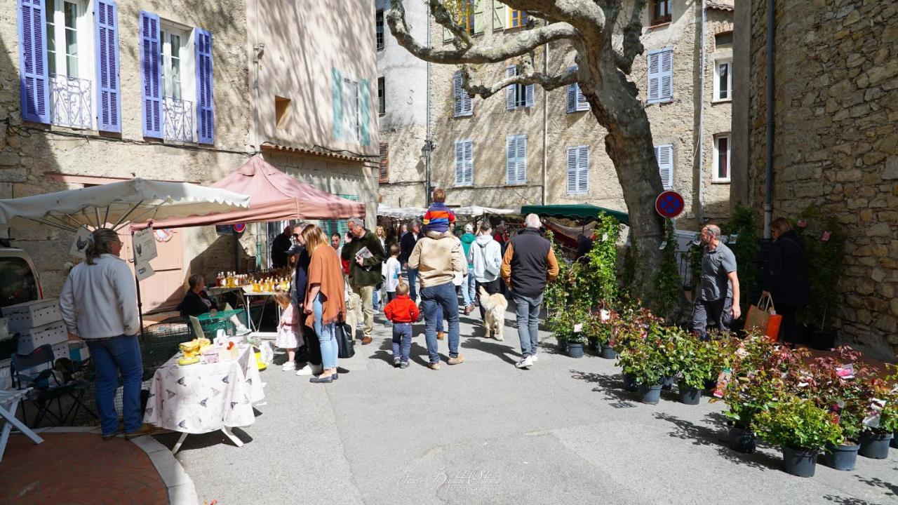Maison De Village La Clemaline Figanières Kültér fotó